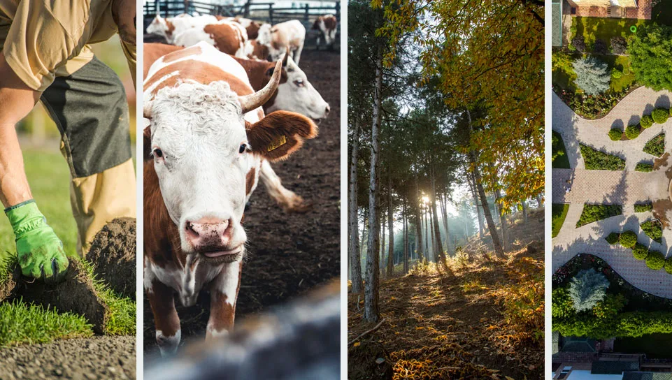 Sáez Motion - Sectores