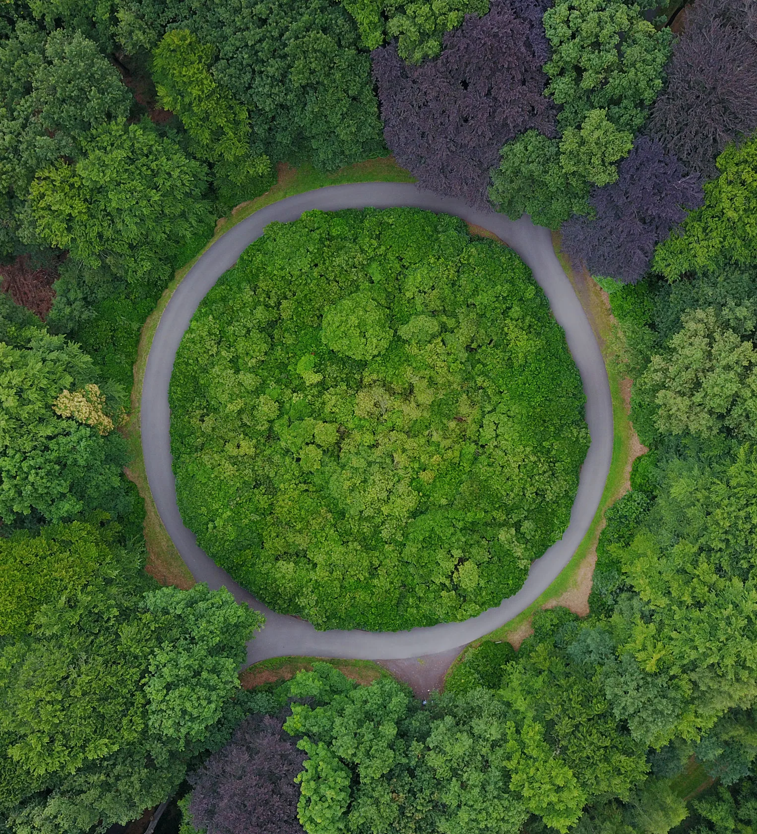 Sáez Motion - Sector cero emisiones